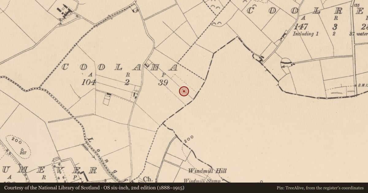 Ordnance Survey six-inch map, 2nd edition (1888–1915) covering the location of Ringfort - rath, Coolaha, County Monaghan, with a pin at the register's coordinates