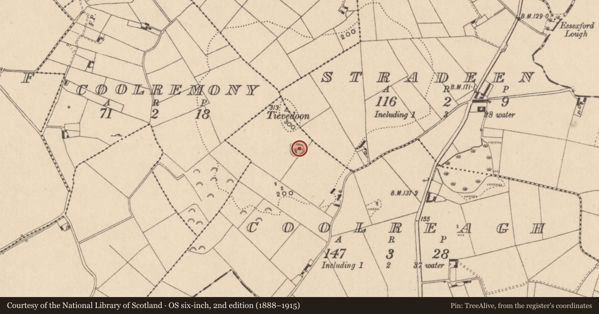 Ordnance Survey six-inch map, 2nd edition (1888–1915) covering the location of Ringfort - rath, Coolreagh, County Monaghan, with a pin at the register's coordinates