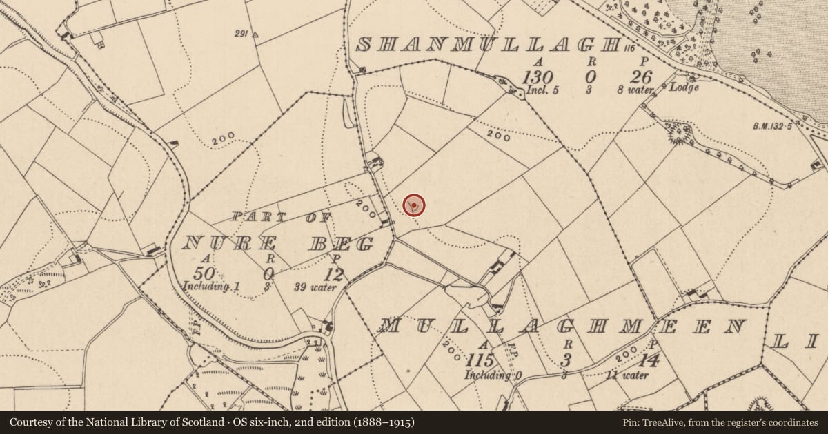 Ordnance Survey six-inch map, 2nd edition (1888–1915) covering the location of Ringfort - rath, Mullaghmeen, County Monaghan, with a pin at the register's coordinates