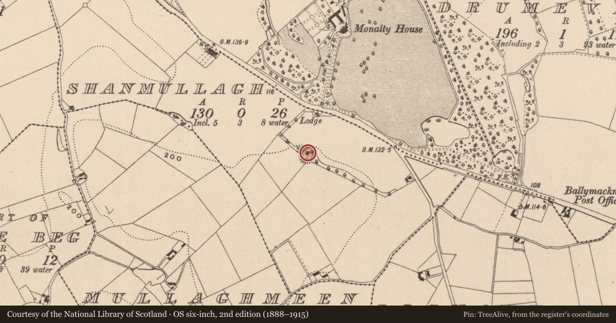 Ordnance Survey six-inch map, 2nd edition (1888–1915) covering the location of Ringfort - rath, Shanmullagh (Farney By., Killanny Par.), County Monaghan, with a pin at the register's coordinates