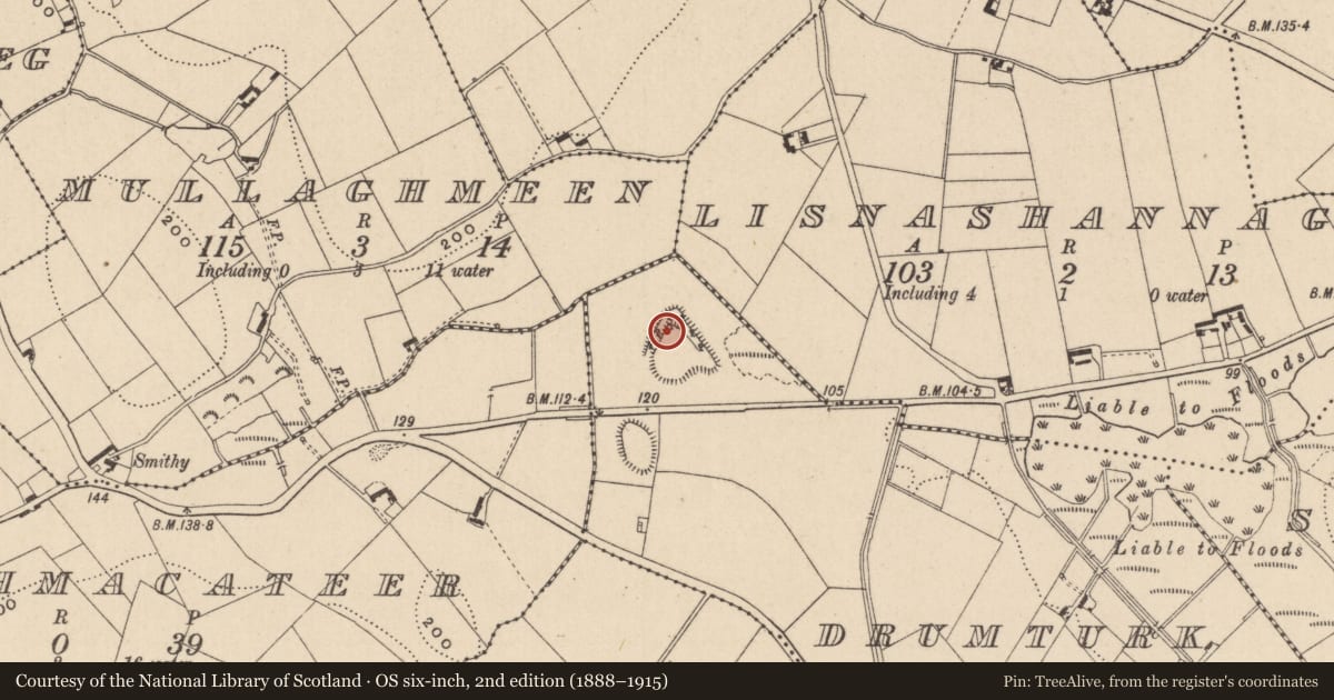 Ordnance Survey six-inch map, 2nd edition (1888–1915) covering the location of Promontory fort - inland, Drumturk, County Monaghan, with a pin at the register's coordinates