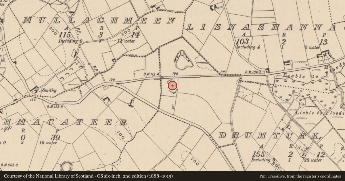 Ordnance Survey six-inch map, 2nd edition (1888–1915) covering the location of Ringfort - rath, Drumturk, County Monaghan, with a pin at the register's coordinates