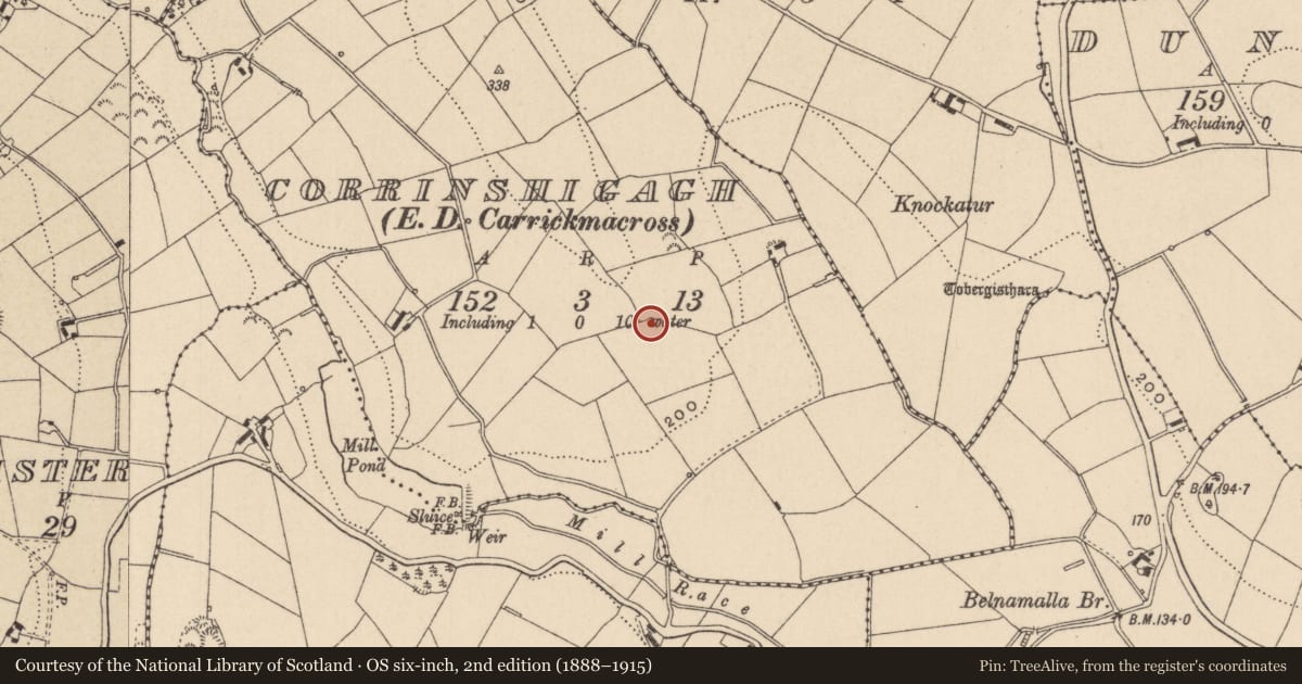 Ordnance Survey six-inch map, 2nd edition (1888–1915) covering the location of Ringfort - rath, Corrinshigagh (Farney By., Magheross Par.), County Monaghan, with a pin at the register's coordinates
