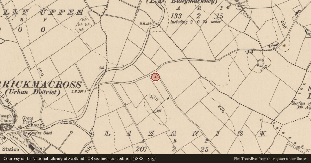 Ordnance Survey six-inch map, 2nd edition (1888–1915) covering the location of Ringfort - unclassified, Lisanisk, County Monaghan, with a pin at the register's coordinates