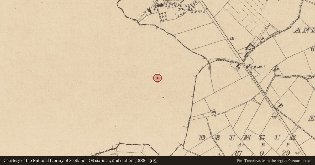 Ordnance Survey six-inch map, 2nd edition (1888–1915) covering the location of Ringfort - rath, Stradeen, County Monaghan, with a pin at the register's coordinates