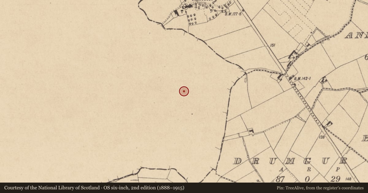 Ordnance Survey six-inch map, 2nd edition (1888–1915) covering the location of Souterrain, Stradeen, County Monaghan, with a pin at the register's coordinates