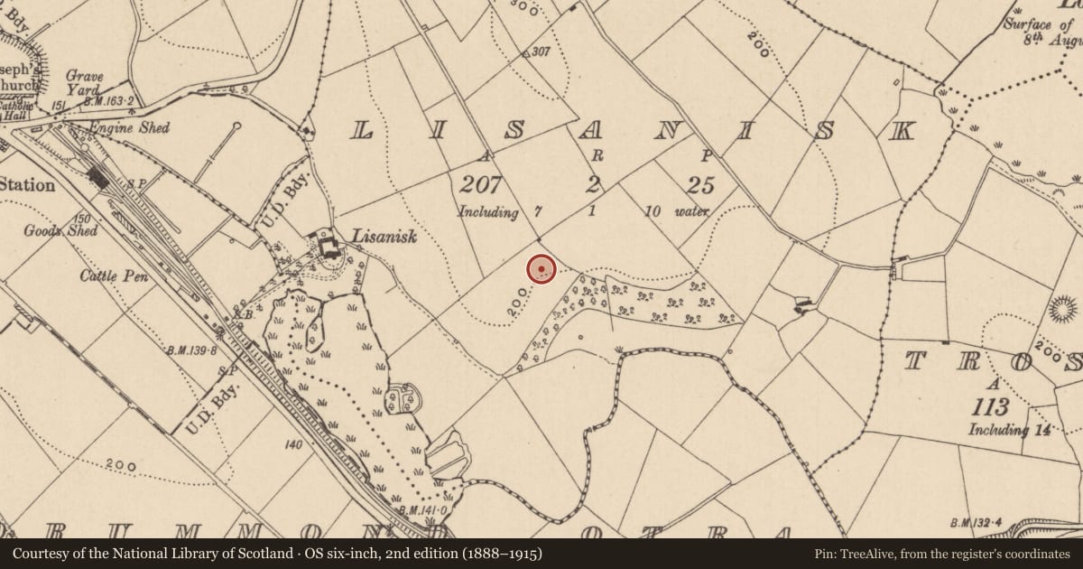 Ordnance Survey six-inch map, 2nd edition (1888–1915) covering the location of Excavation - miscellaneous, Lisanisk, County Monaghan, with a pin at the register's coordinates