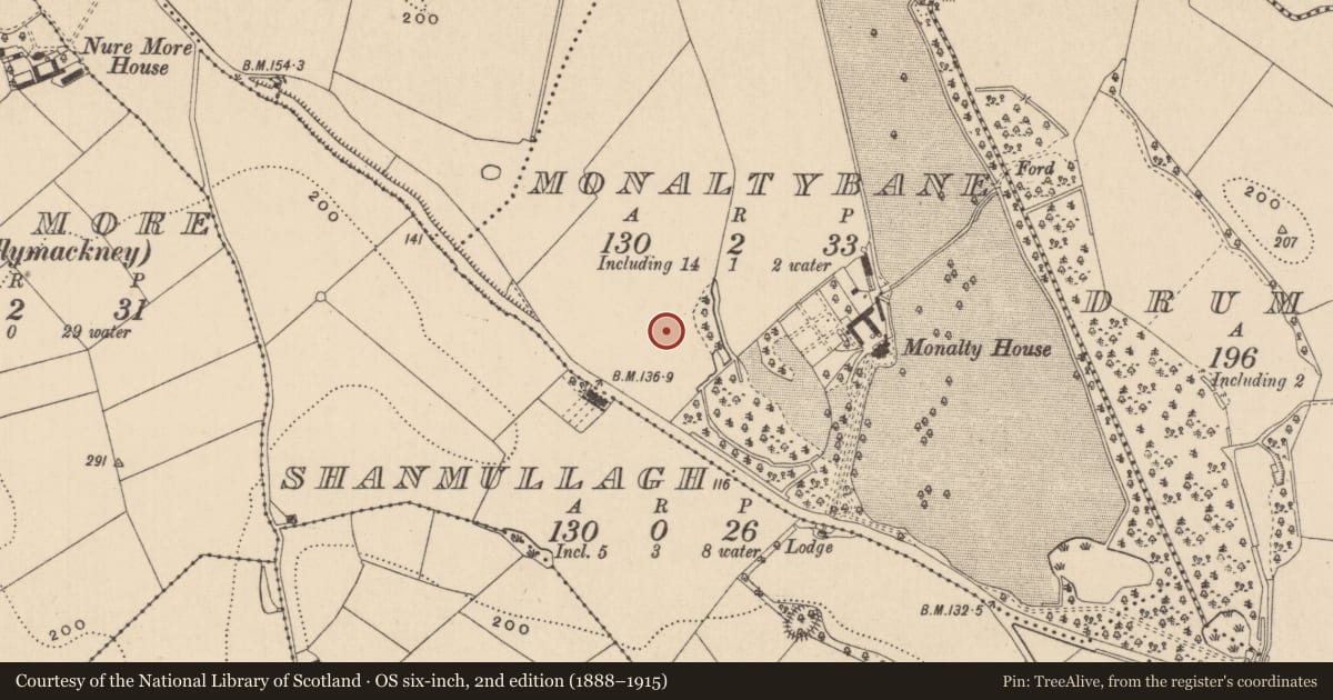 Ordnance Survey six-inch map, 2nd edition (1888–1915) covering the location of Excavation - miscellaneous, Monaltybane, County Monaghan, with a pin at the register's coordinates