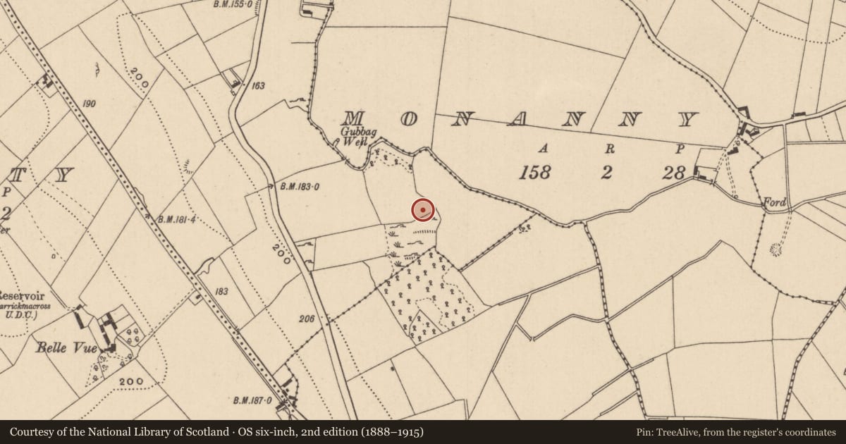 Ordnance Survey six-inch map, 2nd edition (1888–1915) covering the location of Burial ground, Cloghvally Lower, County Monaghan, with a pin at the register's coordinates