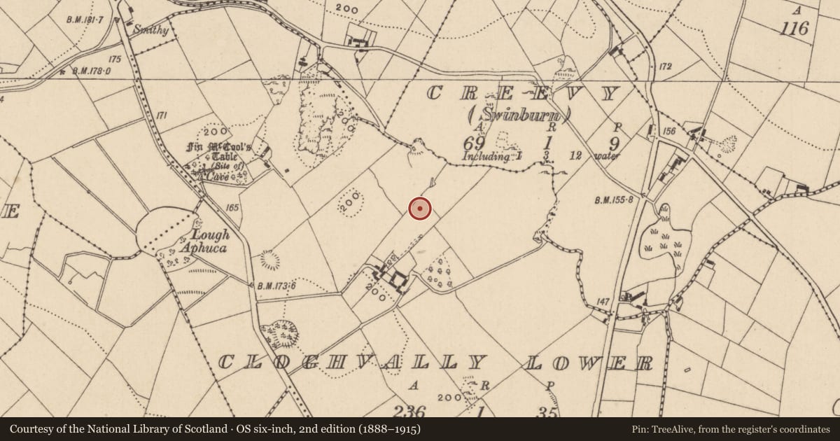 Ordnance Survey six-inch map, 2nd edition (1888–1915) covering the location of Cave, Cloghvally Lower, County Monaghan, with a pin at the register's coordinates