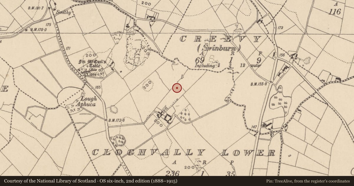 Ordnance Survey six-inch map, 2nd edition (1888–1915) covering the location of Structure, Cloghvally Lower, County Monaghan, with a pin at the register's coordinates