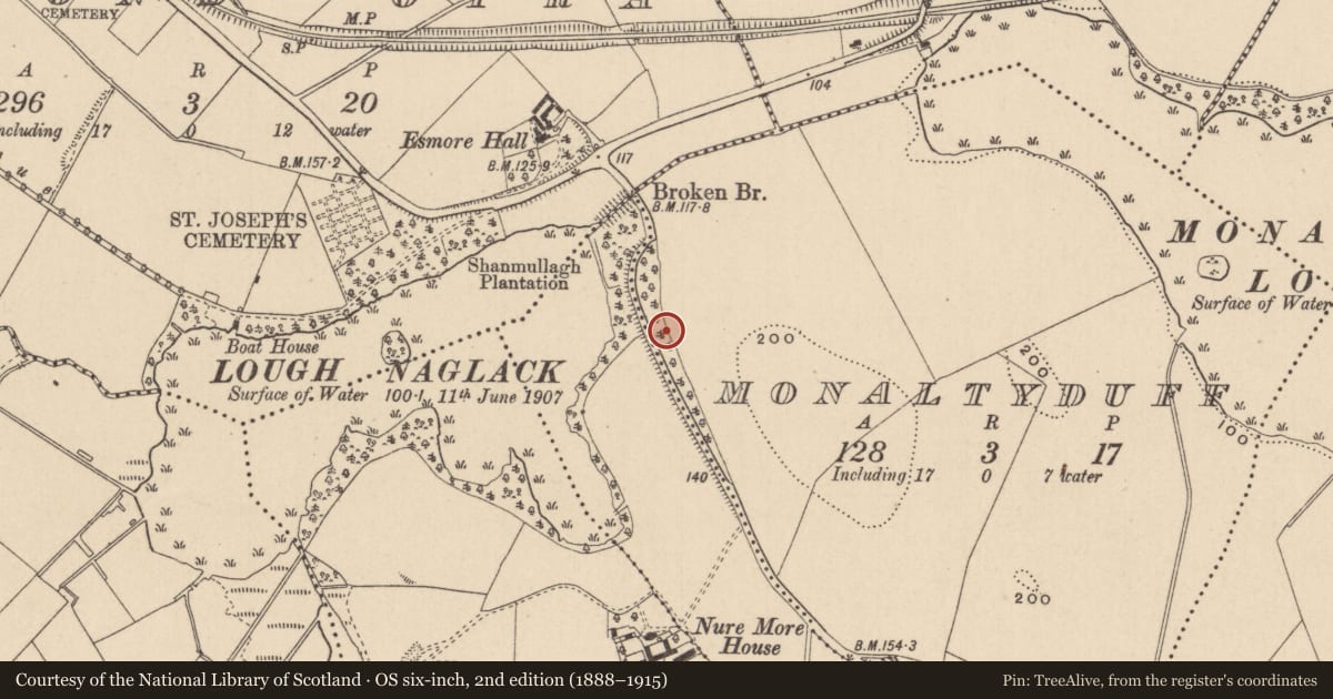 Ordnance Survey six-inch map, 2nd edition (1888–1915) covering the location of Road - hollow-way, Monaltyduff, County Monaghan, with a pin at the register's coordinates