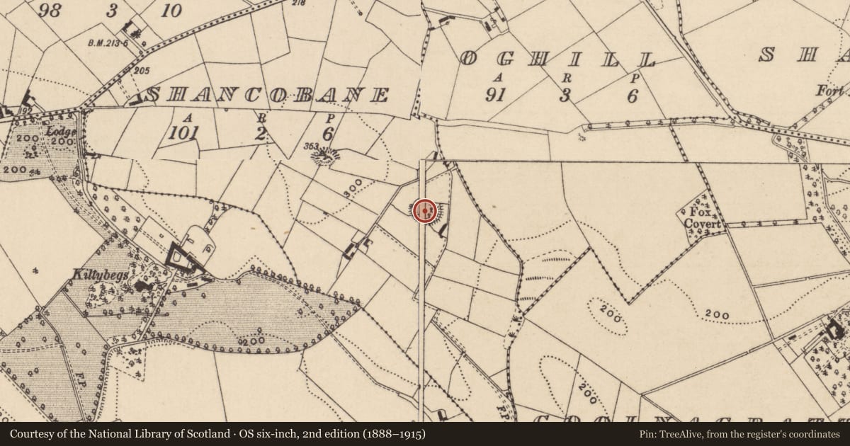 Ordnance Survey six-inch map, 2nd edition (1888–1915) covering the location of Ringfort - rath, Shancobane, County Monaghan, with a pin at the register's coordinates