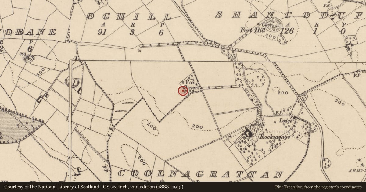 Ordnance Survey six-inch map, 2nd edition (1888–1915) covering the location of Concentric enclosure, Oghill, County Monaghan, with a pin at the register's coordinates