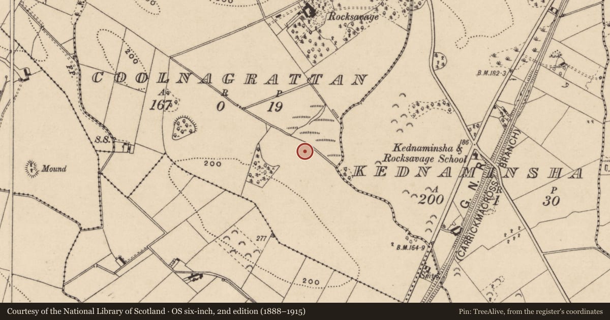 Ordnance Survey six-inch map, 2nd edition (1888–1915) covering the location of Ringfort - rath, Coolnagrattan, County Monaghan, with a pin at the register's coordinates