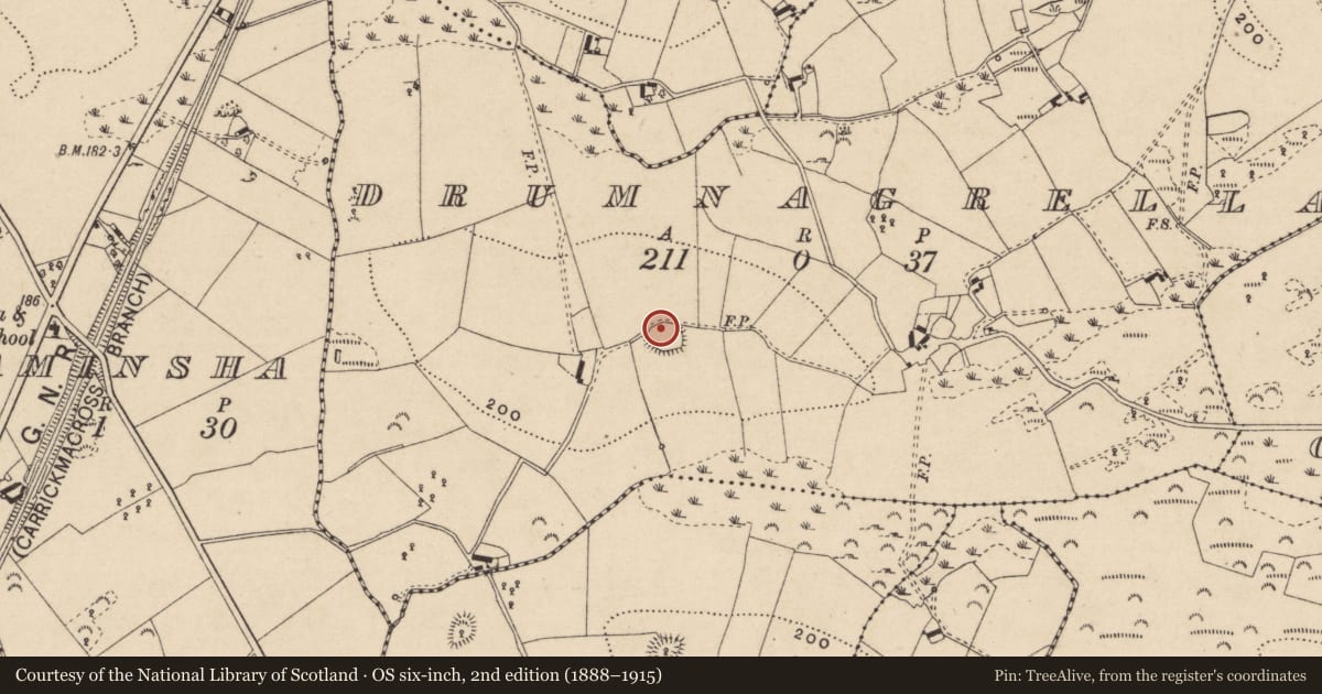 Ordnance Survey six-inch map, 2nd edition (1888–1915) covering the location of Ringfort - rath, Drumnagrella, County Monaghan, with a pin at the register's coordinates