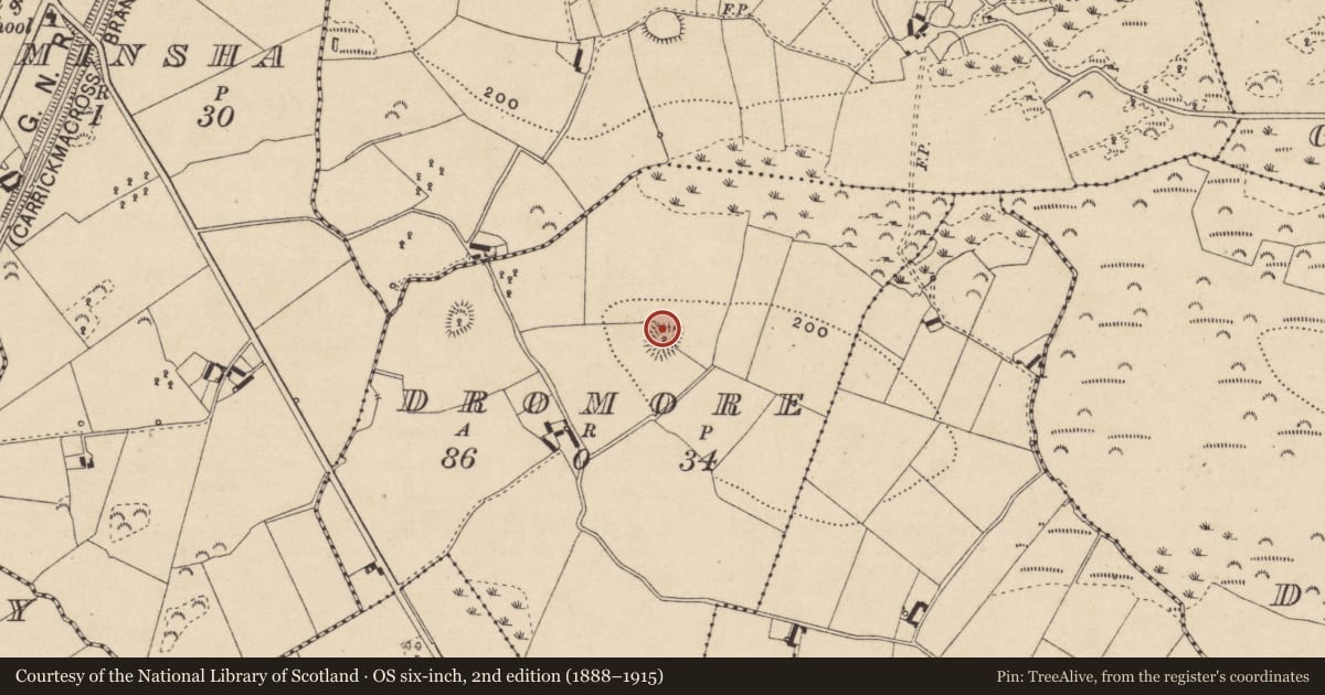 Ordnance Survey six-inch map, 2nd edition (1888–1915) covering the location of Ringfort - rath, Dromore, County Monaghan, with a pin at the register's coordinates