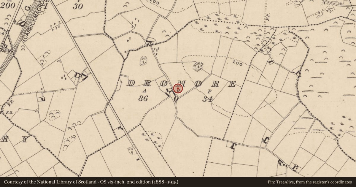 Ordnance Survey six-inch map, 2nd edition (1888–1915) covering the location of Souterrain, Dromore, County Monaghan, with a pin at the register's coordinates