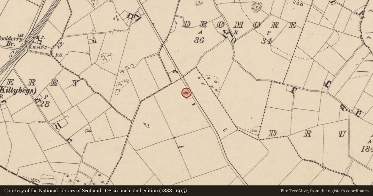 Ordnance Survey six-inch map, 2nd edition (1888–1915) covering the location of Ringfort - rath, Cornagarvoge, County Monaghan, with a pin at the register's coordinates