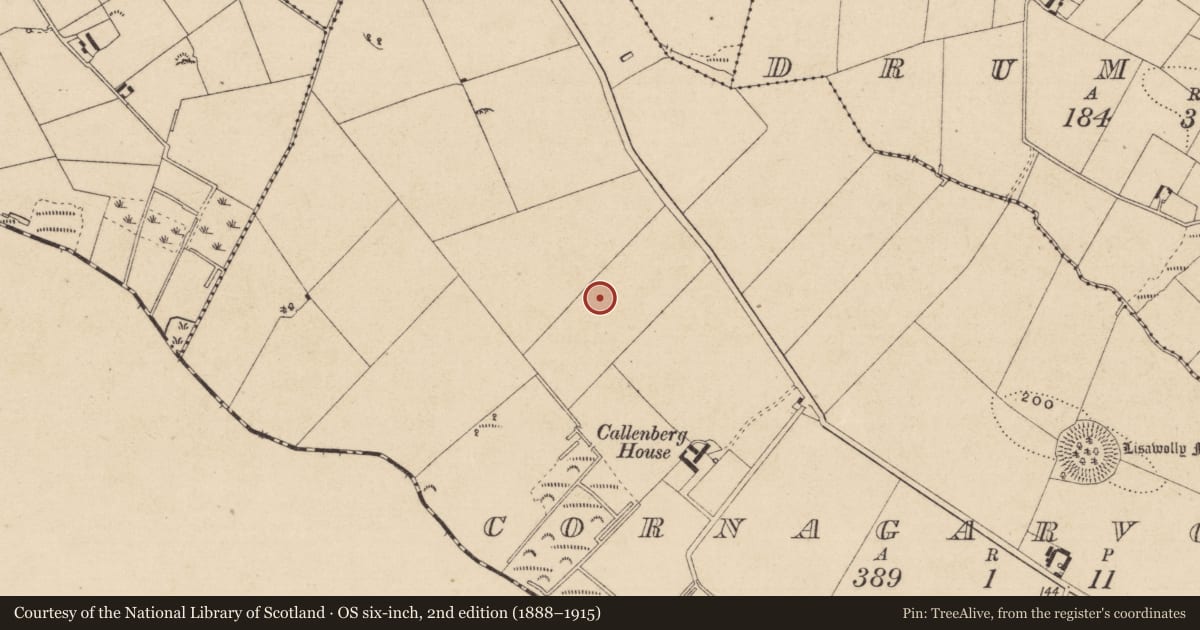 Ordnance Survey six-inch map, 2nd edition (1888–1915) covering the location of Ringfort - rath, Cornagarvoge, County Monaghan, with a pin at the register's coordinates