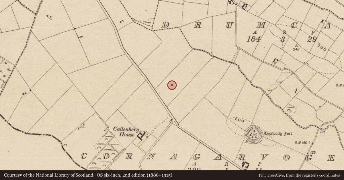 Ordnance Survey six-inch map, 2nd edition (1888–1915) covering the location of Ringfort - unclassified, Cornagarvoge, County Monaghan, with a pin at the register's coordinates