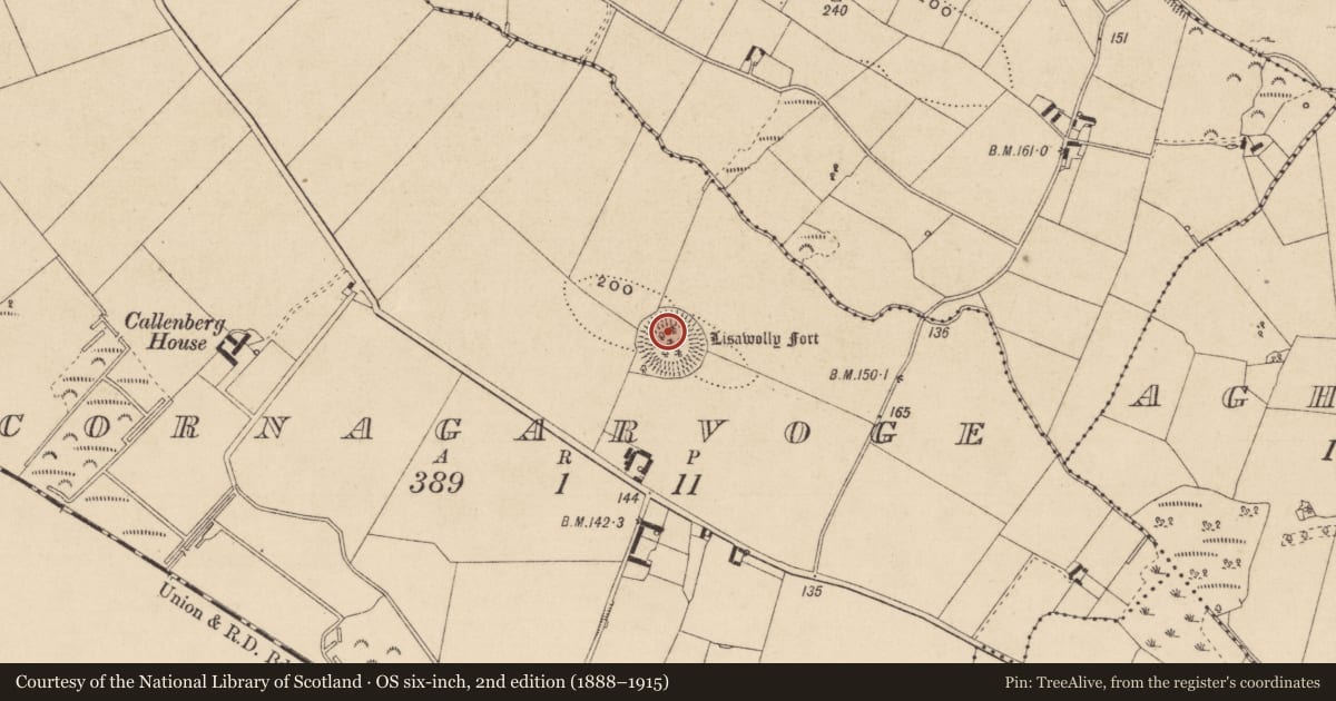 Ordnance Survey six-inch map, 2nd edition (1888–1915) covering the location of Ringfort - rath, Cornagarvoge, County Monaghan, with a pin at the register's coordinates