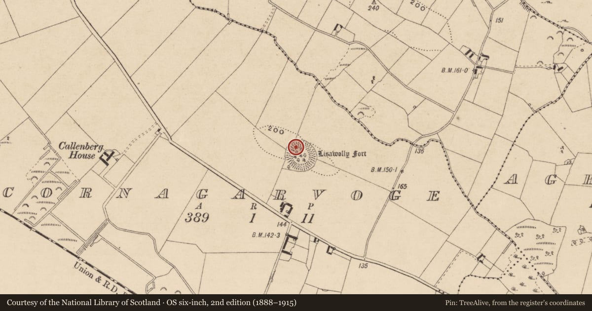 Ordnance Survey six-inch map, 2nd edition (1888–1915) covering the location of Souterrain, Cornagarvoge, County Monaghan, with a pin at the register's coordinates