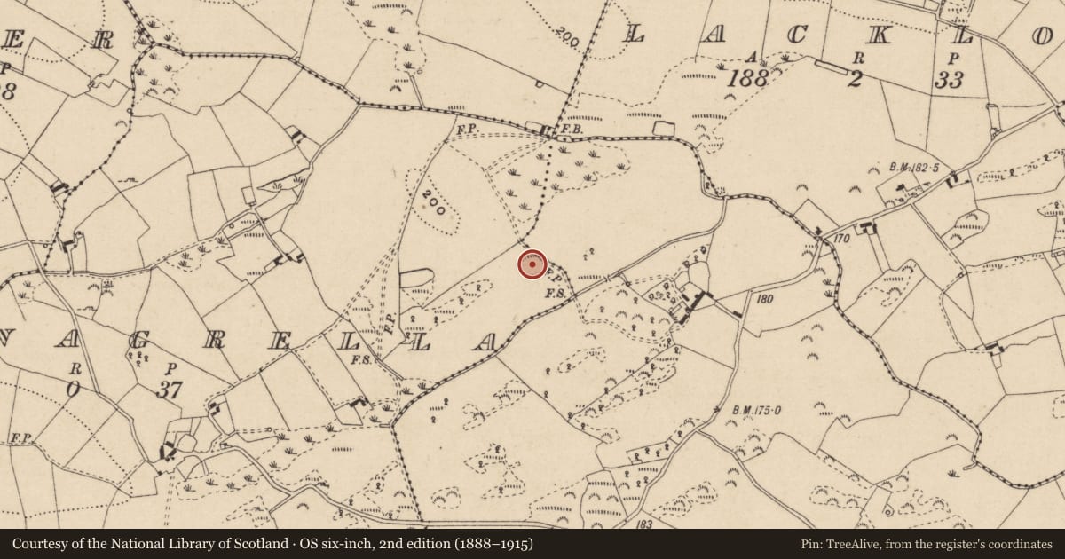 Ordnance Survey six-inch map, 2nd edition (1888–1915) covering the location of Ringfort - rath, Drumnagrella, County Monaghan, with a pin at the register's coordinates