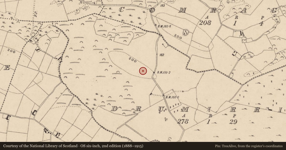 Ordnance Survey six-inch map, 2nd edition (1888–1915) covering the location of Ringfort - rath, Drumirril, County Monaghan, with a pin at the register's coordinates