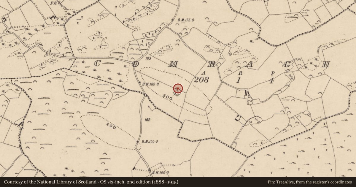 Ordnance Survey six-inch map, 2nd edition (1888–1915) covering the location of Ringfort - rath, Comraghs, County Monaghan, with a pin at the register's coordinates