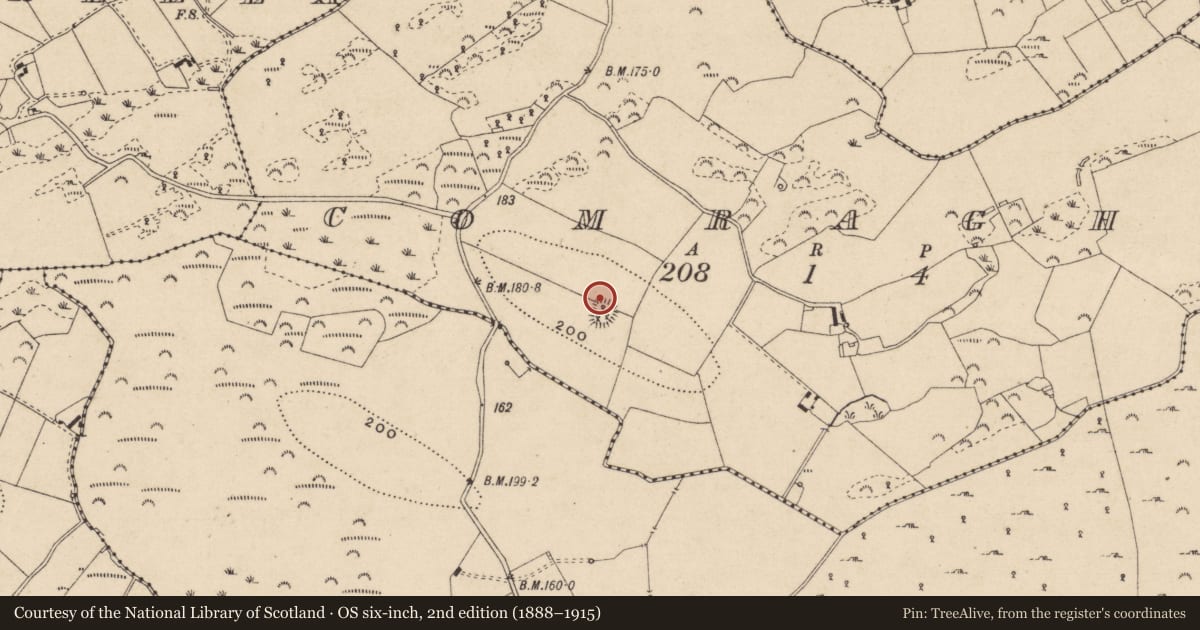 Ordnance Survey six-inch map, 2nd edition (1888–1915) covering the location of Souterrain, Comraghs, County Monaghan, with a pin at the register's coordinates