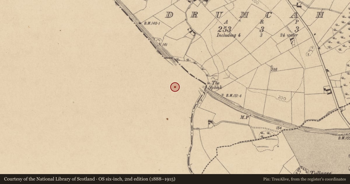 Ordnance Survey six-inch map, 2nd edition (1888–1915) covering the location of Ringfort - rath, Ballintra, County Monaghan, with a pin at the register's coordinates