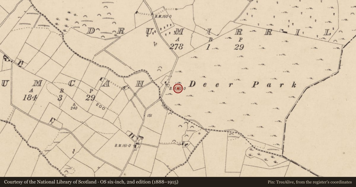 Ordnance Survey six-inch map, 2nd edition (1888–1915) covering the location of Rock art, Drumirril, County Monaghan, with a pin at the register's coordinates