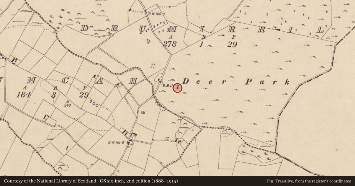 Ordnance Survey six-inch map, 2nd edition (1888–1915) covering the location of Rock art, Drumirril, County Monaghan, with a pin at the register's coordinates