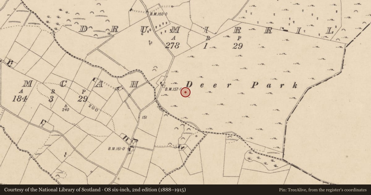Ordnance Survey six-inch map, 2nd edition (1888–1915) covering the location of Rock art, Drumirril, County Monaghan, with a pin at the register's coordinates