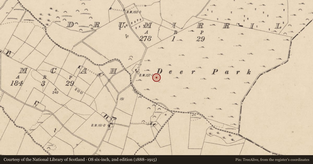 Ordnance Survey six-inch map, 2nd edition (1888–1915) covering the location of Rock art, Drumirril, County Monaghan, with a pin at the register's coordinates