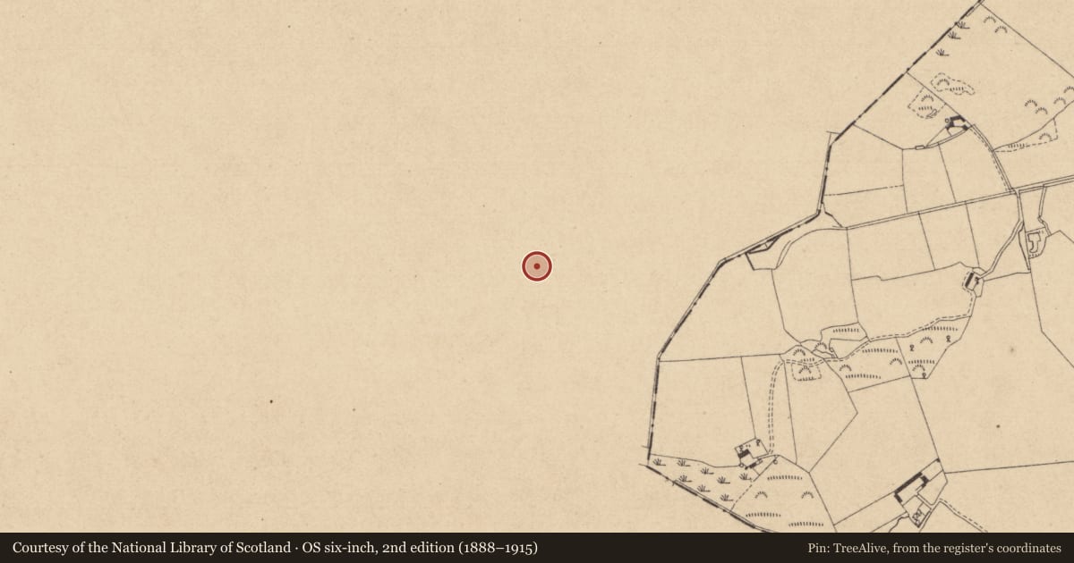 Ordnance Survey six-inch map, 2nd edition (1888–1915) covering the location of Rock art, Drumirril, County Monaghan, with a pin at the register's coordinates