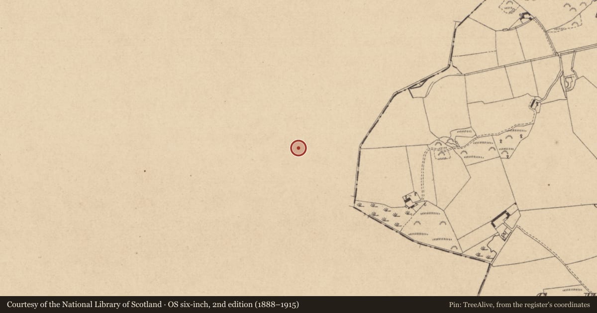 Ordnance Survey six-inch map, 2nd edition (1888–1915) covering the location of Rock art, Drumirril, County Monaghan, with a pin at the register's coordinates