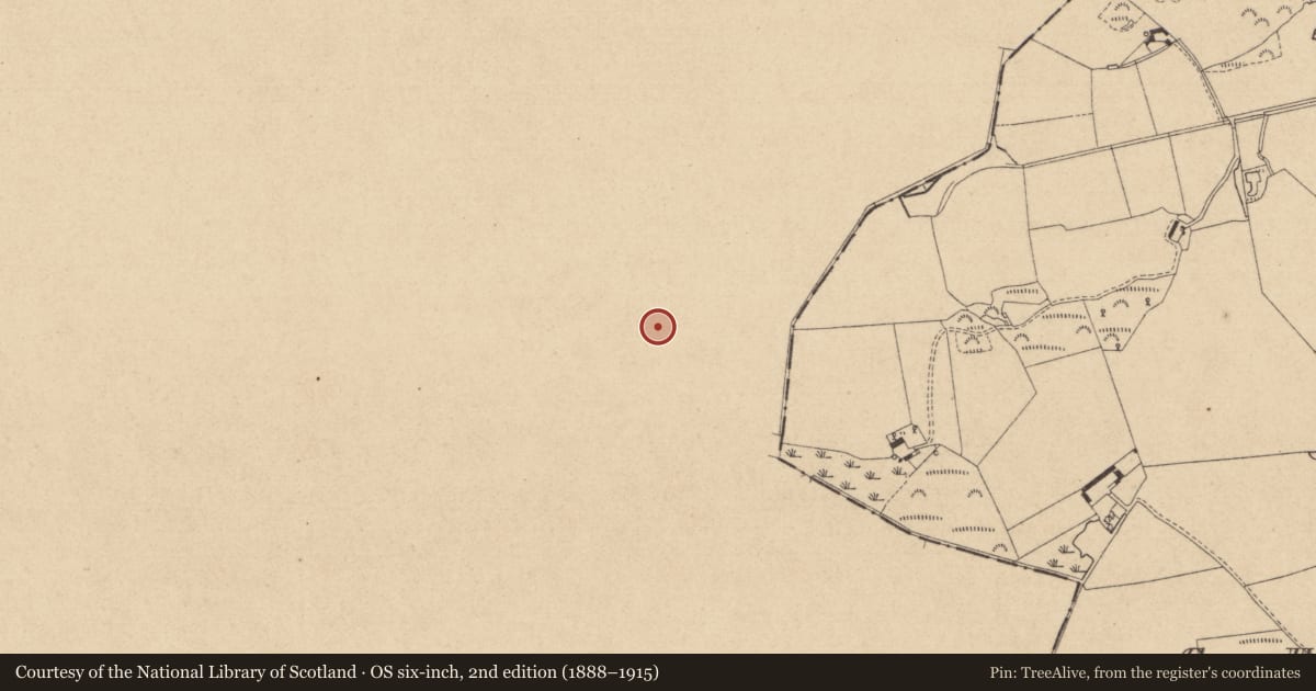 Ordnance Survey six-inch map, 2nd edition (1888–1915) covering the location of Rock art, Drumirril, County Monaghan, with a pin at the register's coordinates