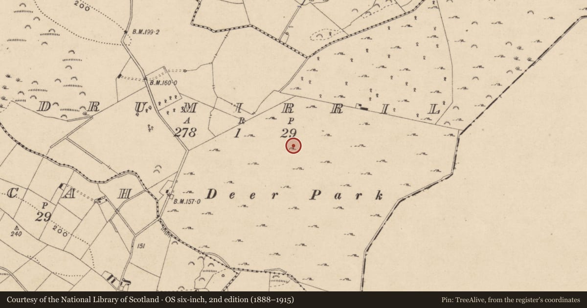 Ordnance Survey six-inch map, 2nd edition (1888–1915) covering the location of Rock art, Drumirril, County Monaghan, with a pin at the register's coordinates
