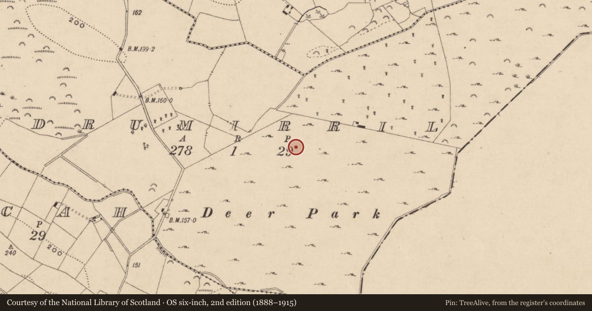 Ordnance Survey six-inch map, 2nd edition (1888–1915) covering the location of Rock art, Drumirril, County Monaghan, with a pin at the register's coordinates
