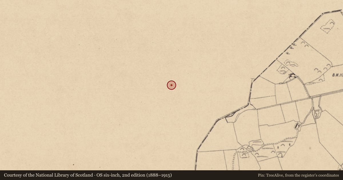 Ordnance Survey six-inch map, 2nd edition (1888–1915) covering the location of Rock art, Drumirril, County Monaghan, with a pin at the register's coordinates