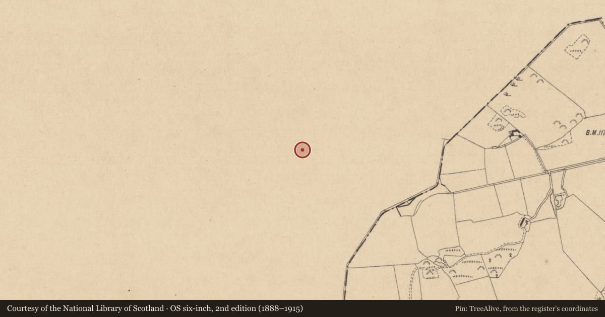 Ordnance Survey six-inch map, 2nd edition (1888–1915) covering the location of Rock art, Drumirril, County Monaghan, with a pin at the register's coordinates