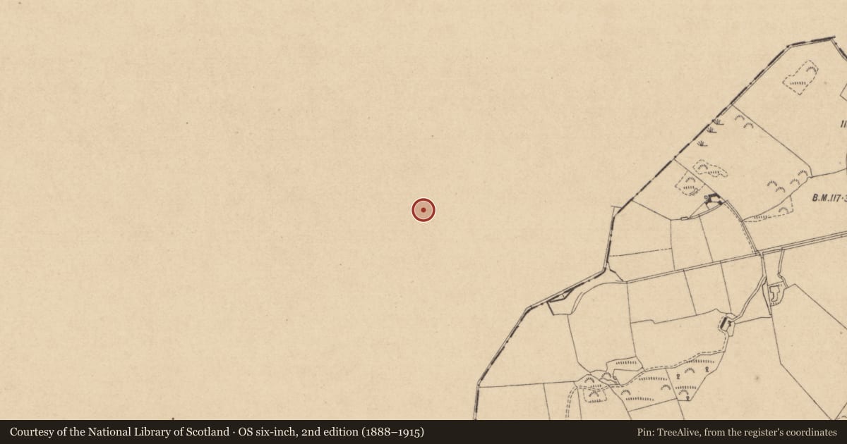 Ordnance Survey six-inch map, 2nd edition (1888–1915) covering the location of Rock art, Drumirril, County Monaghan, with a pin at the register's coordinates