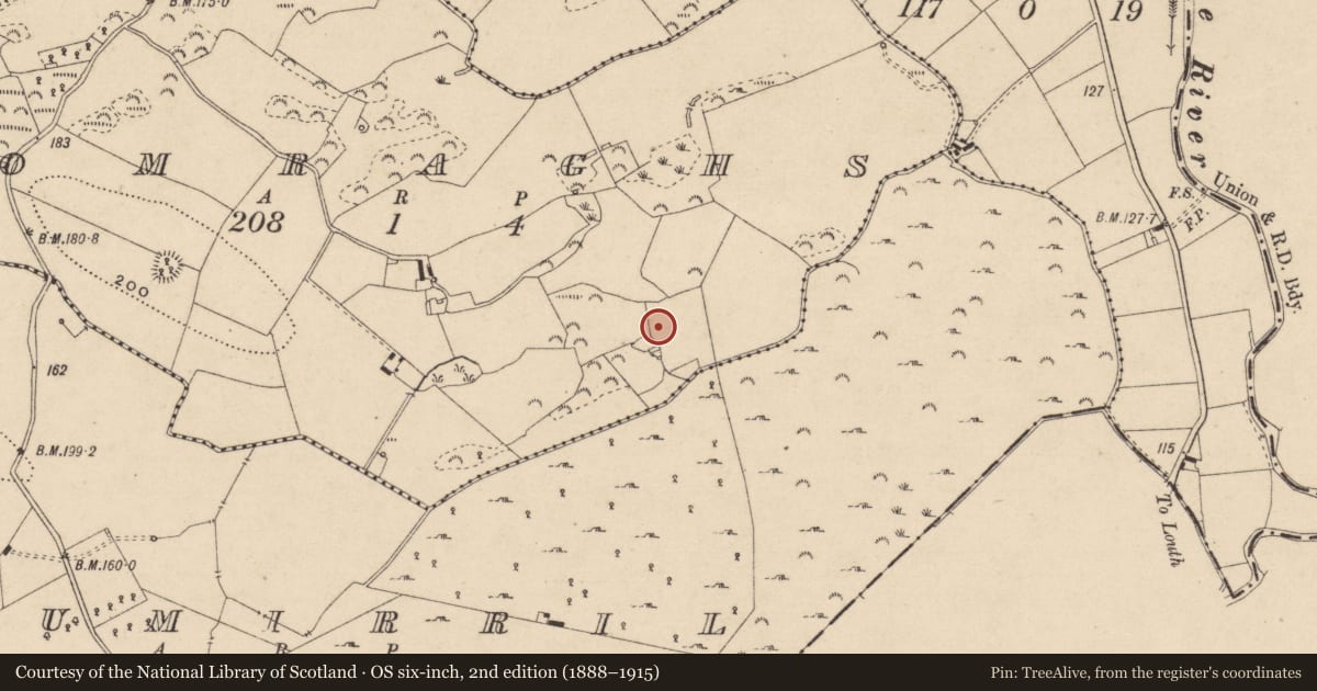 Ordnance Survey six-inch map, 2nd edition (1888–1915) covering the location of Rock art, Comraghs, County Monaghan, with a pin at the register's coordinates