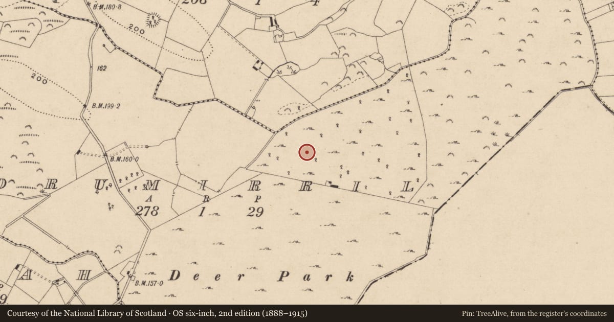 Ordnance Survey six-inch map, 2nd edition (1888–1915) covering the location of Rock art, Drumirril, County Monaghan, with a pin at the register's coordinates