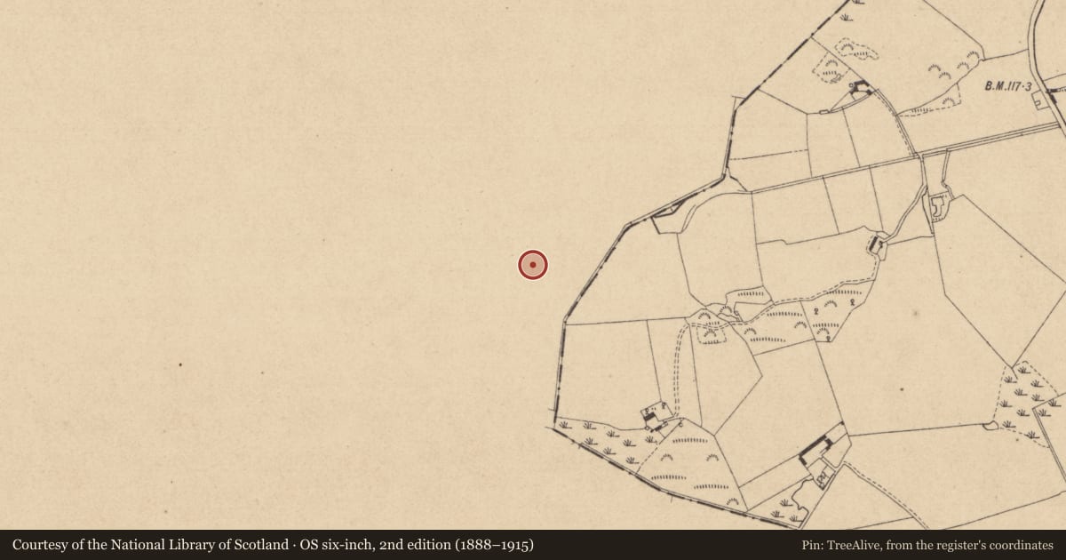 Ordnance Survey six-inch map, 2nd edition (1888–1915) covering the location of Rock art, Drumirril, County Monaghan, with a pin at the register's coordinates