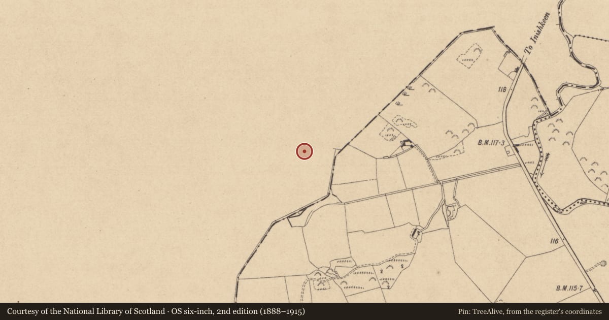 Ordnance Survey six-inch map, 2nd edition (1888–1915) covering the location of Enclosure, Drumirril, County Monaghan, with a pin at the register's coordinates