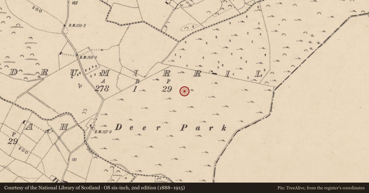 Ordnance Survey six-inch map, 2nd edition (1888–1915) covering the location of Enclosure, Drumirril, County Monaghan, with a pin at the register's coordinates