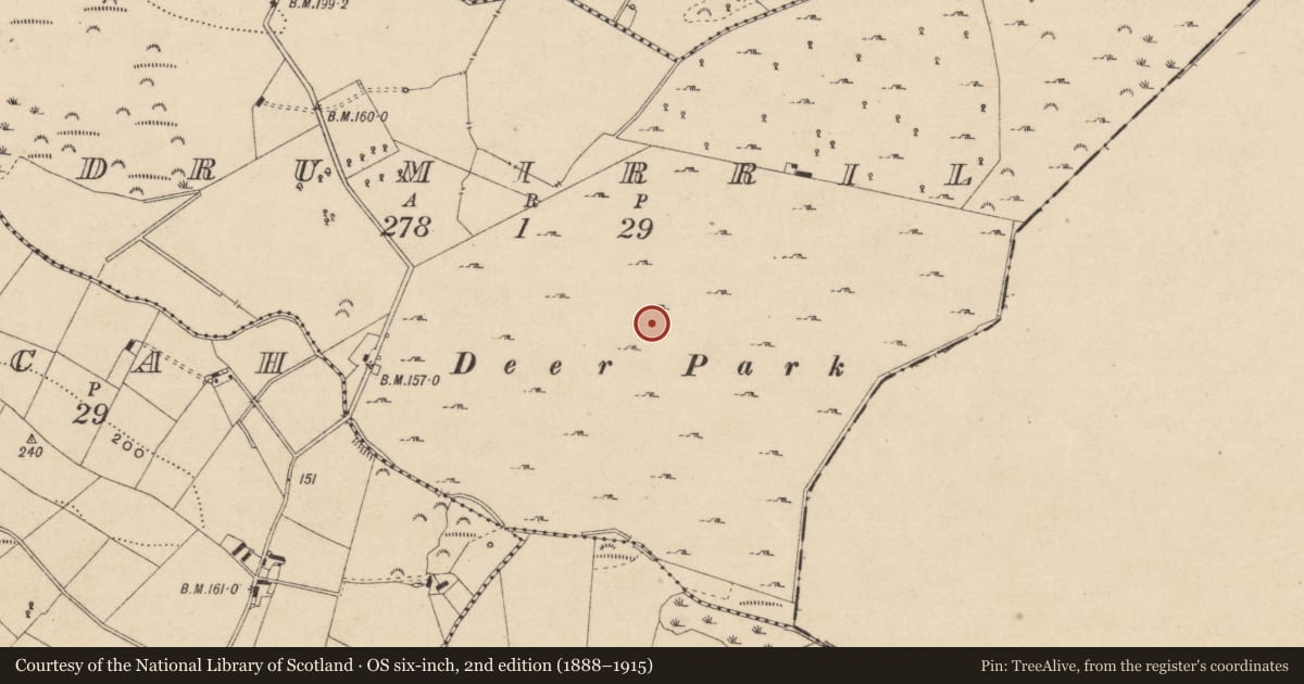 Ordnance Survey six-inch map, 2nd edition (1888–1915) covering the location of Field system, Drumirril, County Monaghan, with a pin at the register's coordinates